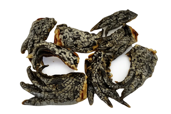 Crocodile Feet — long-lasting Australian crocodile foot natural dog chew, single ingredient