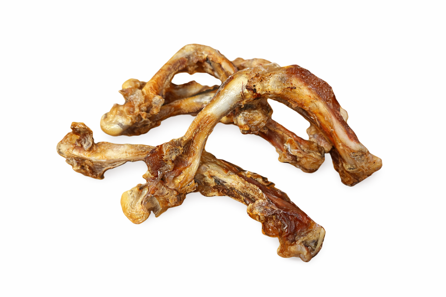 Crocodile Leg Bones — long-lasting Australian crocodile leg bone natural dog chew
